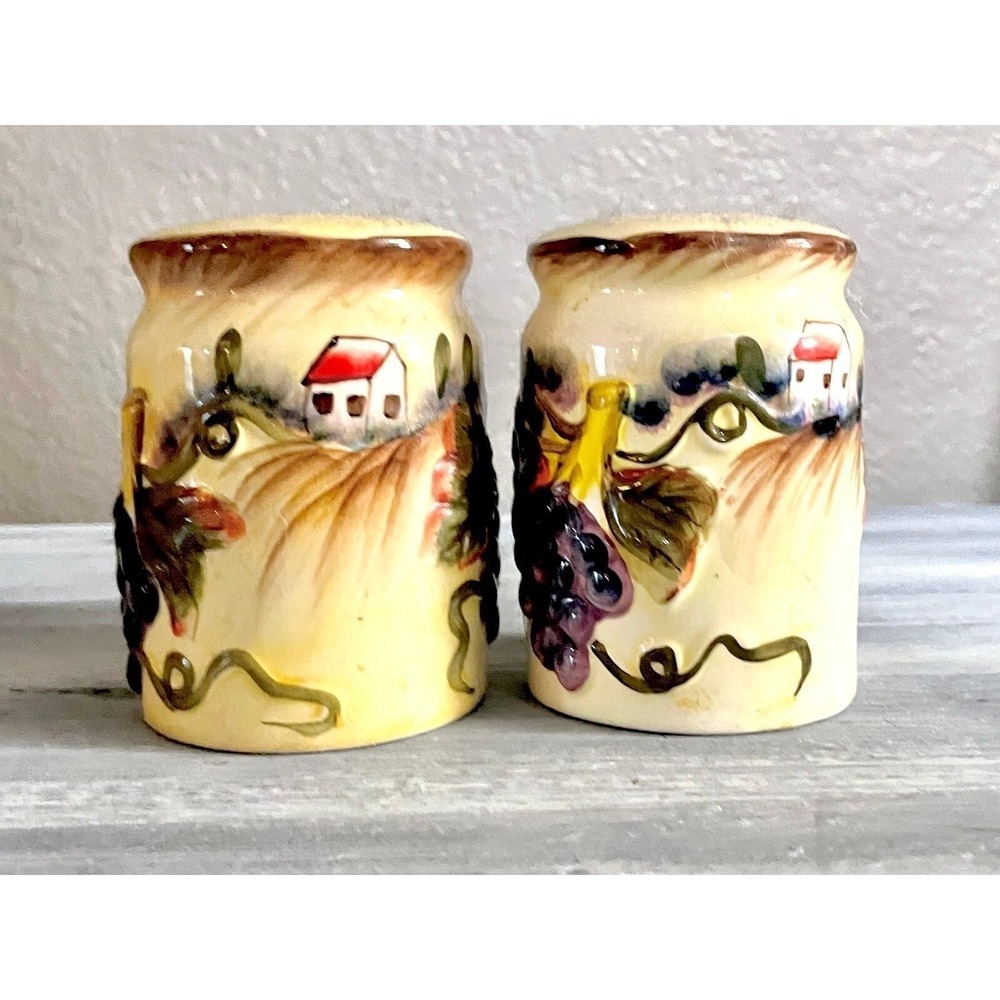 Vintage Salt and Pepper Shakers Ceramic Decorative